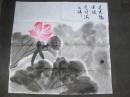 无名画片--荷叶满江鲜
