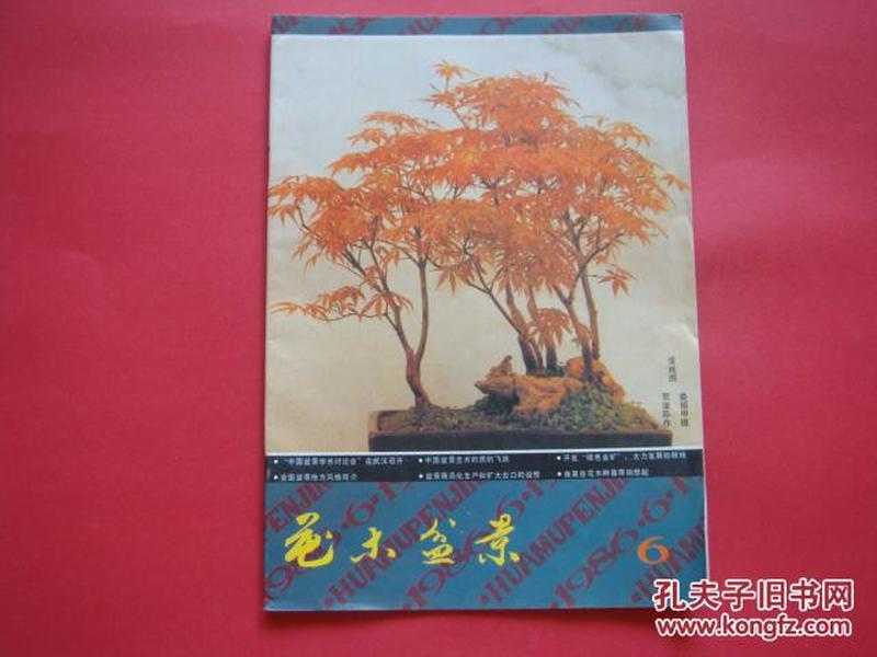 花木盆景1986年第6期