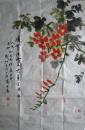 山东威海—戚叔玉凌霄花