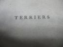 terriers