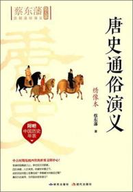 蔡东藩历朝通俗演义系列：唐史通俗演义