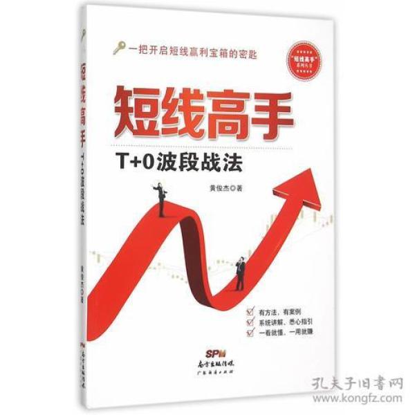 短线高手：T+0波段战法