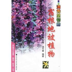清秀坚韧的宿根地被植物