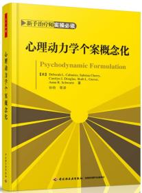 心理动力学个案概念化（万千心理）新手治疗师实操必读