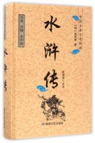 （精装）中国古典文学阅读—水浒传（注释点评版）