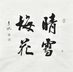 当代实力书法家 黄老师《晴雪梅花》SF1116.