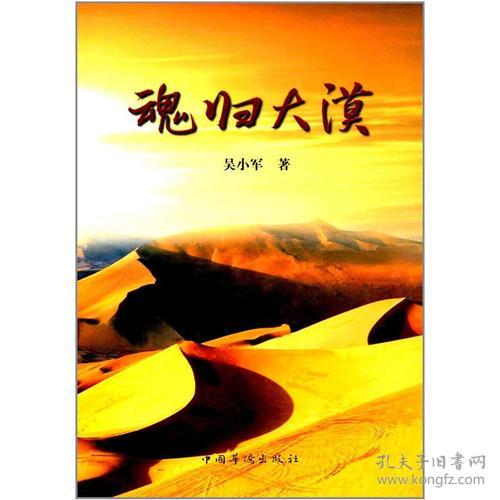 长篇小说：魂归大漠