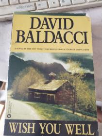 DAVID BALDACCI WISH YOU WELL