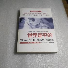 世界是平的：《世界是平的：21世纪简史》姊妹篇