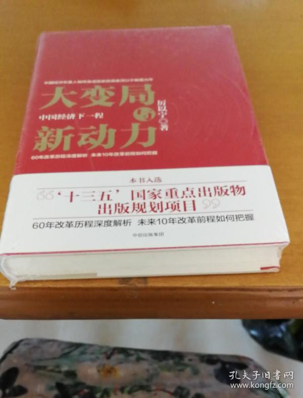 大变局与新动力：中国经济下一程