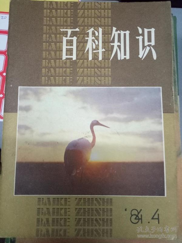 《百科知识 1984》人和海洋、什么是评定量表、语言的社会分化、美国总统的外交权、以科学报国的先驱者——杜亚泉、美国犹太文学、飞行模拟器....