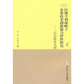 区域专利战略下企业技术创新能力评价研究——以安徽省为例