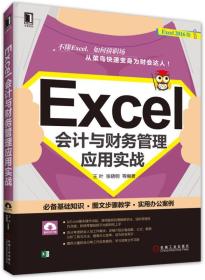 Excel会计与财务管理应用实战