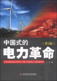 【以此标题为准】中国式的电力革命（第2版）