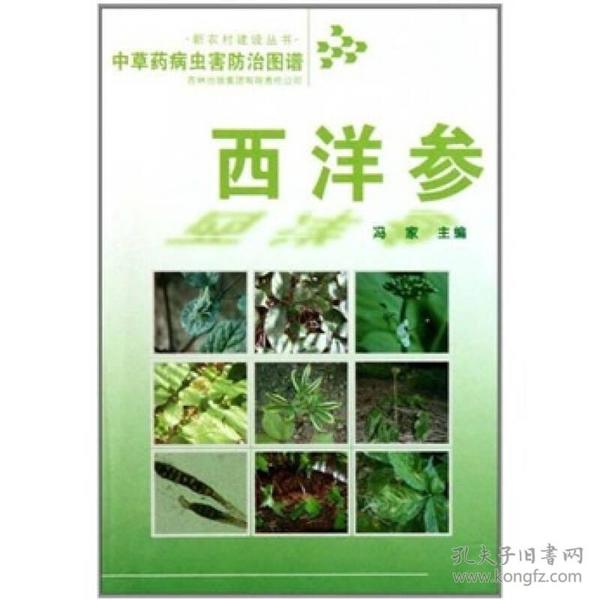 西洋参-中草药病虫害防治图谱