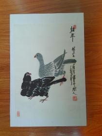 甘凤豪国画作品..和平鸽