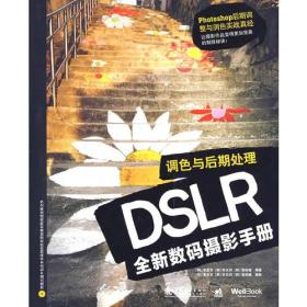 DSLR全新数码摄影手册:调色与后期处理