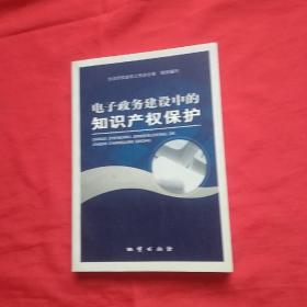 电子政务建设中的知识产权保护
