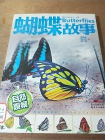 自然观察：蝴蝶故事