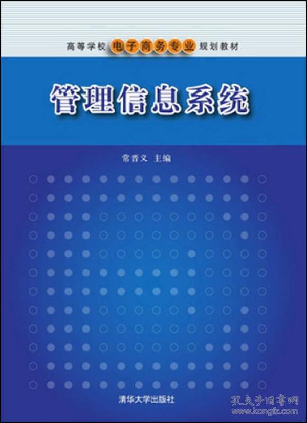 管理信息系统/高等学校电子商务专业规划教材