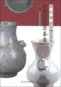 中国古代瓷器鉴定汝、官、哥、类汝釉瓷器鉴定（16开平装 全1册）