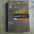 Word实战技巧精粹（正版无盘）