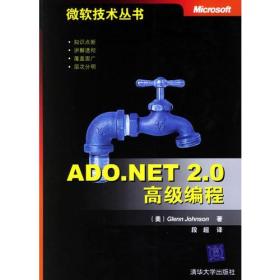 ADO.NET 2.0高级编程：微软技术丛书