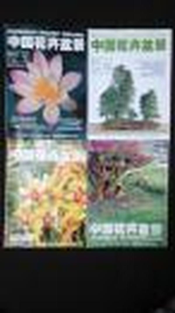 中国花卉盆景2004年第6期