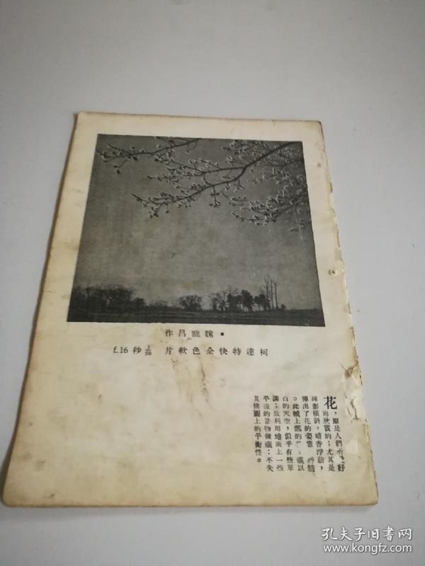 1935年【柯达杂志】五月号(老照片多，川东猎影记…)