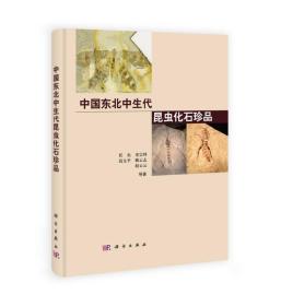 中国东北中生代昆虫化石珍品精装本16开第一版第一印