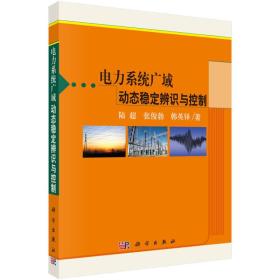 电力系统广域动态稳定辨识与控制