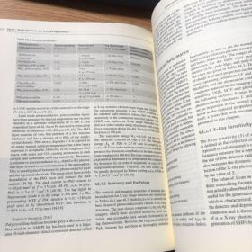 Springer手册精选系列·电子与光子材料手册（第5册）：新型电子与光子材料及典型应用（影印版）