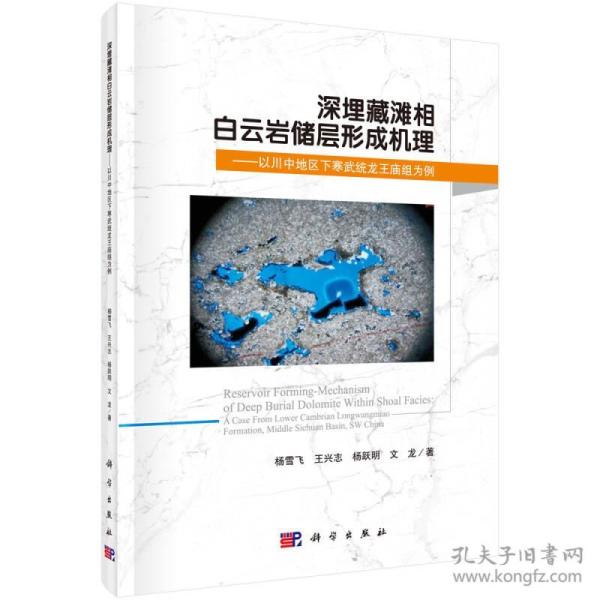 深埋藏滩相白云岩储层形成机理：以川中地区下寒武统龙王庙组为例