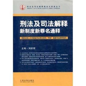 刑法及司法解释新制度新罪名通释