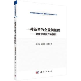 一种新型的企业间组织——高技术虚拟产业集群