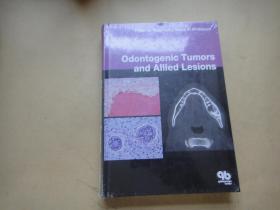 Odontogenic Tumours and Allied Lesions〔外文原版〕
