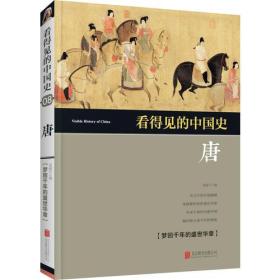 看得见的中国史 唐 童超 北京联合出版公司