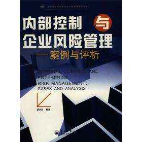 内部控制与企业风险管理：案例与评析9787121093814