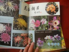 中国花卉盆景1984