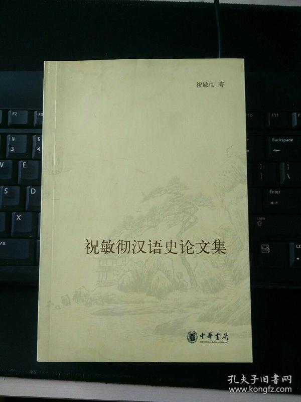 祝敏彻汉语史论文集
