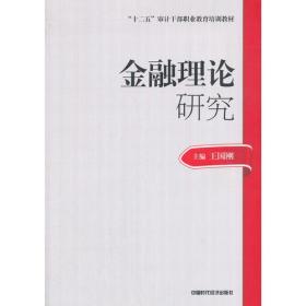 正版书 金融理论研究