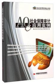 AO应用实例丛书：AO社会保障审计应用实例