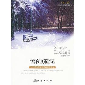 冰心儿童图书奖获奖作品——雪夜历险记