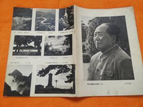 画报【皮子没有了】