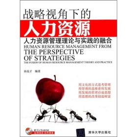 战略视角下的人力资源：人力资源管理理论与实践的融合