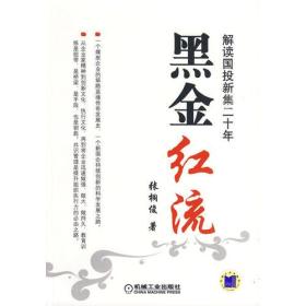 黑金红流——解读国投新集二十年