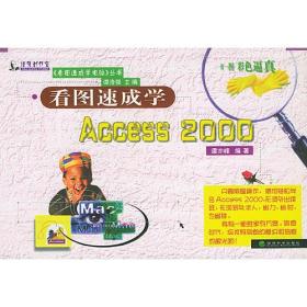 看图速成学Access 2000——看图速成学电脑丛书