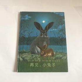 正版爱心树世界杰出绘本选：再见小兔子精装绘本