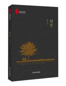 对岸/跨度小说文库
