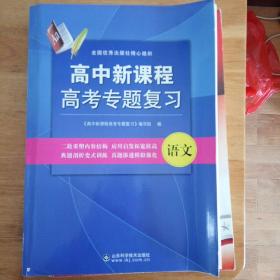 高中新课程高考专题复习. 语文